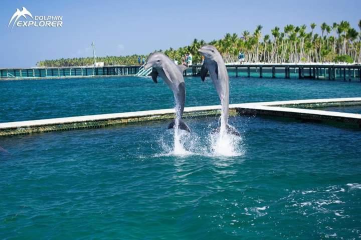Caribbean And Sun Punta Cana Exteriör bild